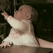 giphy-downsized (4)
